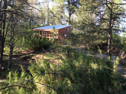 a log cabin in the woods with trees at Cabaña Icalma, ahora con Tinaja in Curacautín