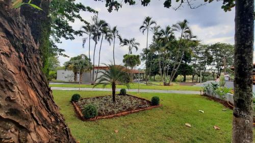 een palmboom in een tuin in een park bij Itaygua Hotel in Ribeirão Preto