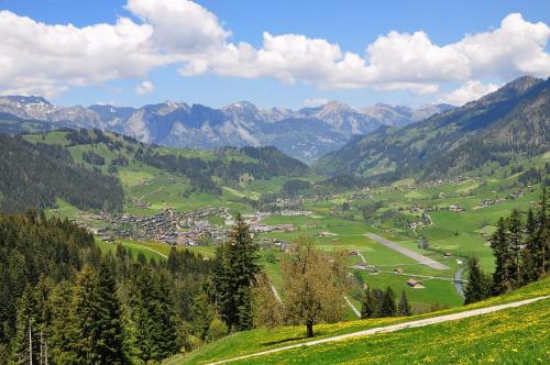 a view of a valley with mountains in the background at Sonnegg Hotel in Zweisimmen