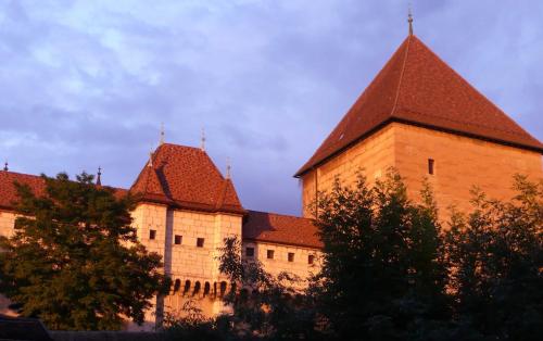 un grand bâtiment en briques avec deux tours et des arbres dans l'établissement Appartement dans la vieille ville, en face du château, à Annecy