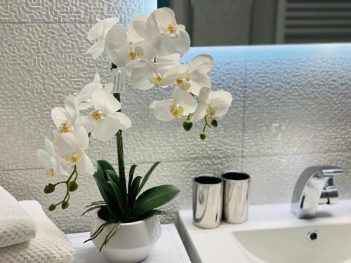 um vaso de flores brancas sentado no lavatório da casa de banho em Traumperle em Erfurt