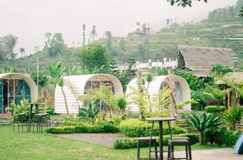 un grupo de cabañas en un jardín en Glamour camping bedugul, en Bedugul