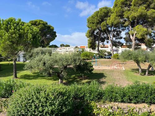 a park with a playground and trees and bushes at Apartamento Aventura in Salou