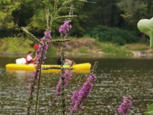 a group of people in a yellow boat on a lake at Gite le Chamaju in Labeaume