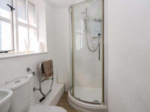 a bathroom with a shower and a toilet at The Holt in Sidmouth
