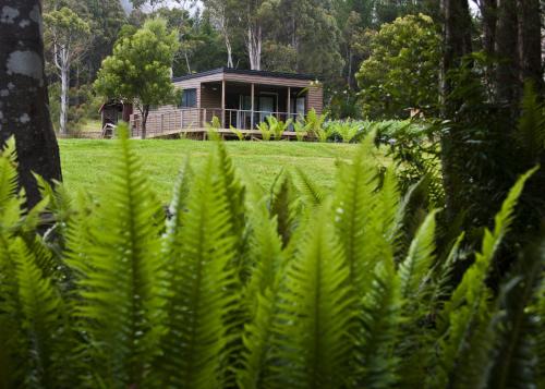 a house in the middle of a field with green plants at Tyenna River Cottages in Tyenna