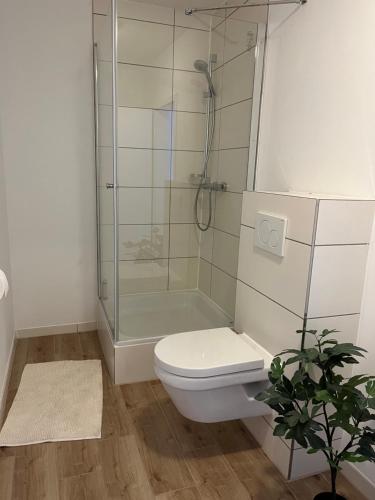 a white bathroom with a shower and a toilet at Connect 9.3 in Dorum-Neufeld