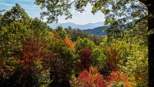 a forest of trees with mountains in the background at Red Apple Mountaintop cabin hot tub, WiFi, Pet friendly, Fireplace, pit, BEST VIEWS in Cherry Log