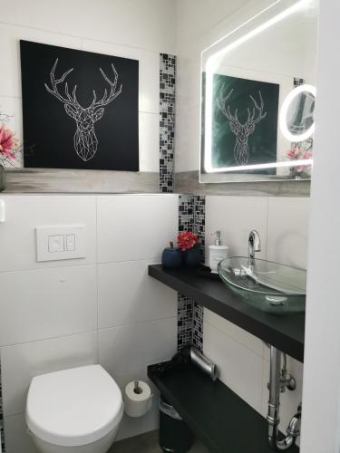 a bathroom with a white toilet and a sink at Ferienwohnung Tannenzwerg in Tannenberg