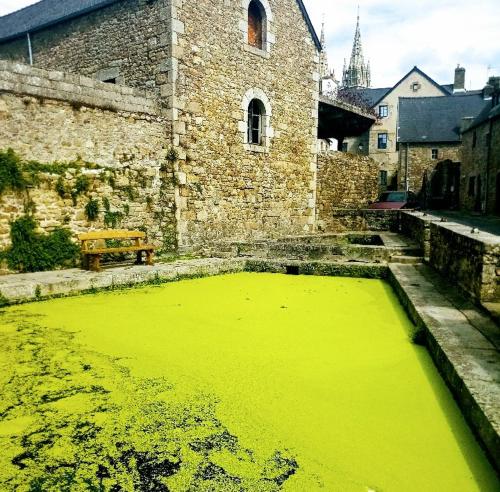 a large pool of yellow paint in front of a building at Duplex au lin in Saint-Pol-de-Léon
