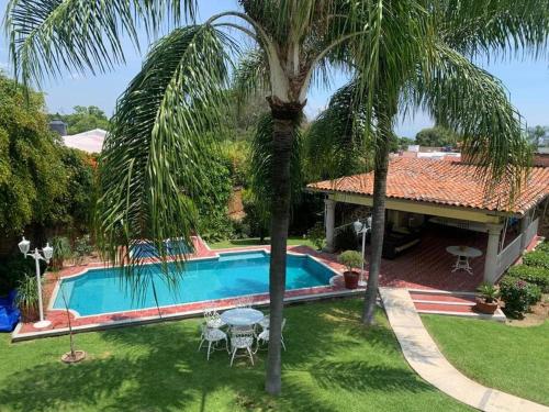 a house with a palm tree and a swimming pool at Relax and Enjoy Cuernavaca Pet Friendly in Cuernavaca
