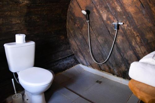 a bathroom with a toilet and a shower at Salto Suizo Parque Ecologico in Independencia