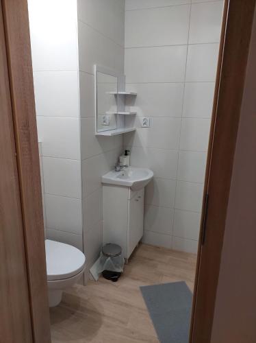 małą łazienkę z toaletą i umywalką w obiekcie Apartament na Reja w mieście Olkusz