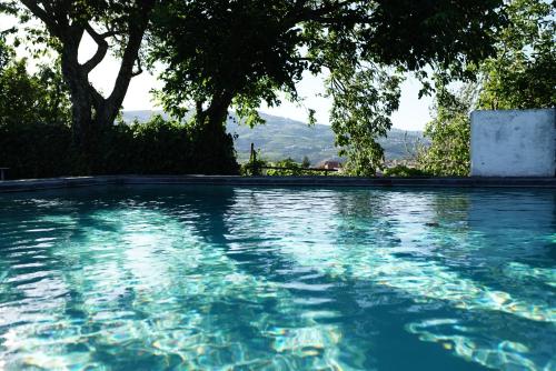 a swimming pool with clear blue water and trees at Quinta de Villa Franca - Douro in Peso da Régua