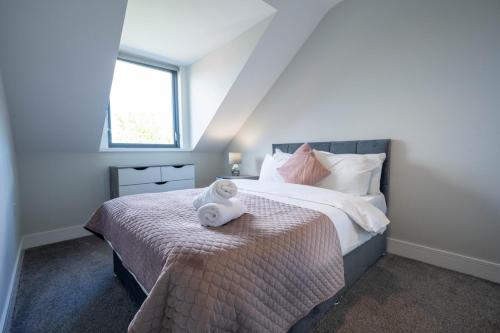 un dormitorio con una cama con un animal de peluche en Three bed apartment sleeps 5 in botanic en Belfast