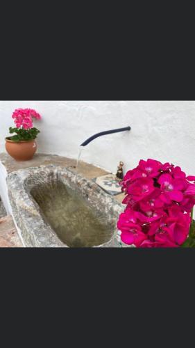 a bathroom sink with pink flowers next to it at Palacete Encanto Maior in Campo Maior