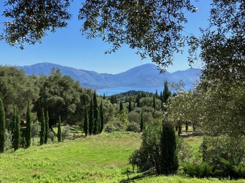 a view of a field with trees and a lake at Pie' d'Ulivo in Bosco