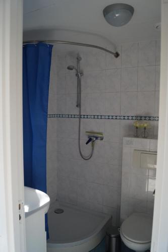 uma casa de banho com um chuveiro e um WC. em Hortensia Eiland em Zegveld