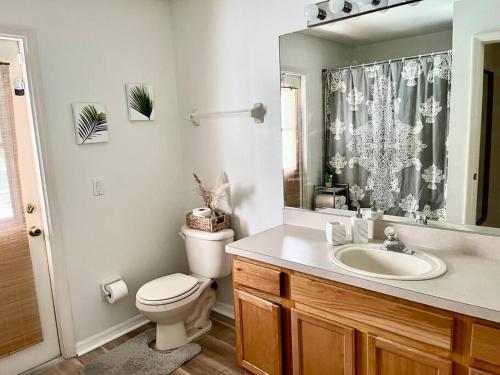 a bathroom with a toilet and a sink and a mirror at Sandy Oasis 5 bedroom with Pool Sarasota Bradenton in Bradenton