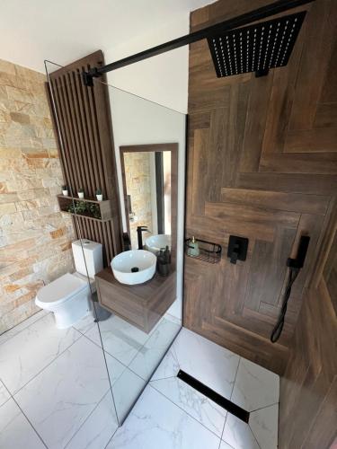 巴亞德菲耶爾的住宿－Transalpina Tiny House - outdoor jacuzzi，一间带卫生间和水槽的浴室