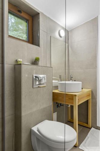 a bathroom with a toilet and a sink at Silver Bungalow in Săcele