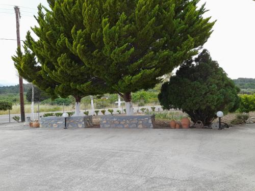 Κήπος έξω από το Green View Appartment (Thanasis 2)