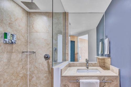墨西哥城的住宿－一城哥阿拉米達墨西酒店，一间带水槽和淋浴的浴室