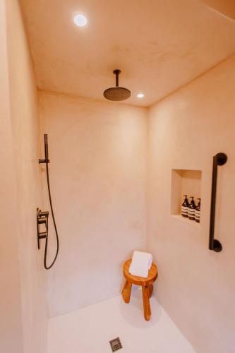 a bathroom with a shower and a stool at Sakura Ridge Farm & Lodge in Hood River