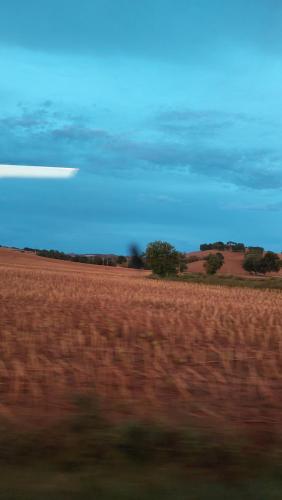 a view of a field from a train at Molino della Tuoma in San Quirico dʼOrcia