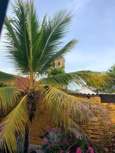 a palm tree in front of a brick building at Casa Isabelita in Mompos