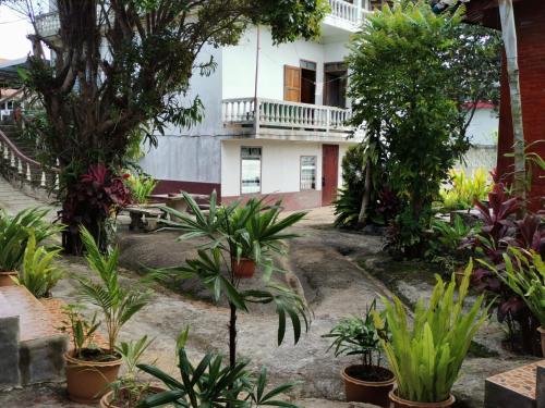a garden in front of a building with plants at Kongkeo Guesthouse in Muang Ph&ocirc;nsavan