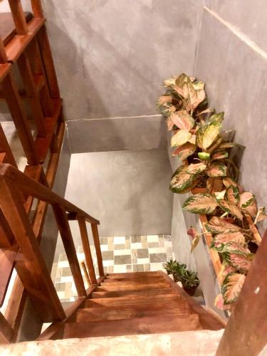 a stairway with a staircase with potted plants at RL Harbor Inn in El Nido