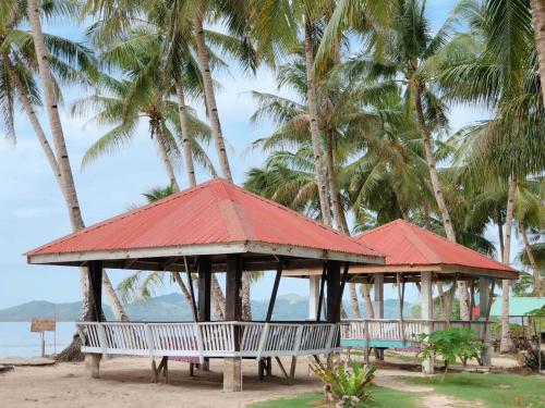 a pavilion on the beach with palm trees at RSK Beach and Accommodation in Dapa