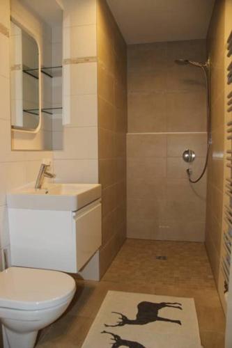 a bathroom with a shower and a toilet and a sink at Ferienwohnung Mitterleithengut in Zell am See
