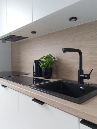 Kuchyňa alebo kuchynka v ubytovaní Apartament 150 Zaspa VVita