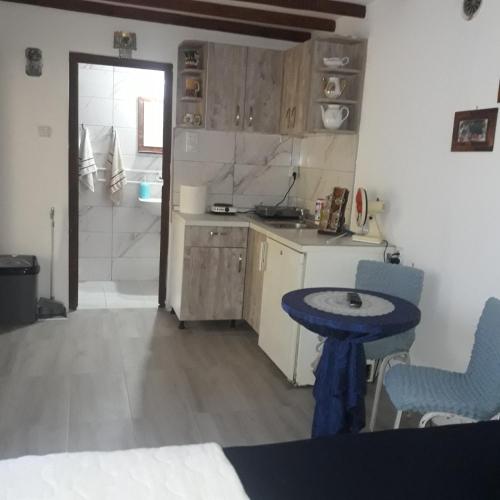 a kitchen with a sink and a table in a room at Sljivik in Niš