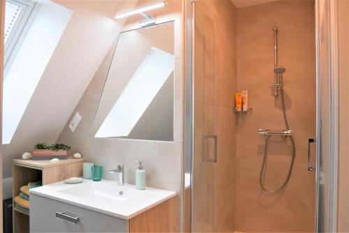 a bathroom with a shower and a sink at Le Jardin des Roses in Saverne