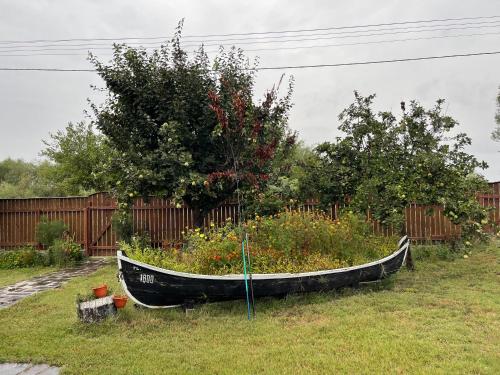 un barco en un jardín en un patio en Pensiunea Pagaya, en Gorgova