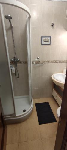 a bathroom with a shower and a sink at Apartamento Turístico Los Altos in Noja