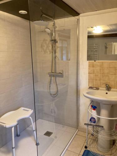 a bathroom with a shower and a sink at Le Clergite in Clairfayts