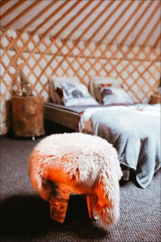 Yurt District