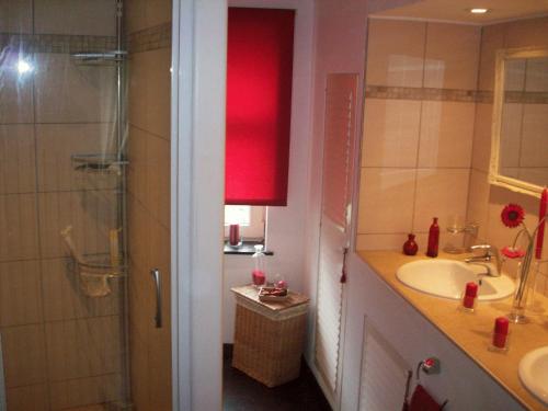 y baño con lavabo y ducha. en Moulin De Moxhe micro gîte et gîte - Bed & Dreams, en Moxhe