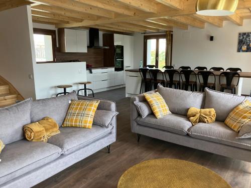 un salon avec deux canapés et une cuisine dans l'établissement Les lofts M, à Font-Romeu-Odeillo-Via