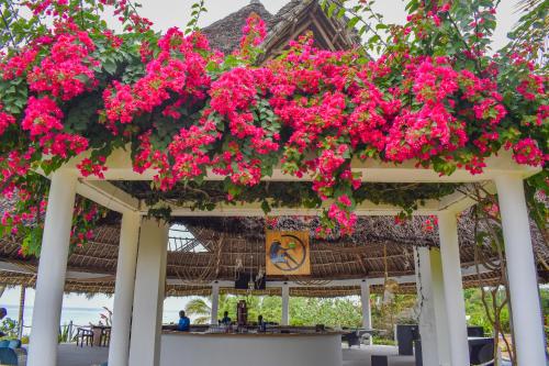 a bunch of pink flowers hanging from a building at Safira Blu Luxury Resort & Villas in Nungwi