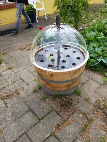 a fish pond in a barrel on the ground at Kyndestoft Bed & Breakfast in Holstebro