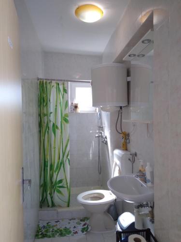 a bathroom with a white toilet and a sink at Apartments "Sun-sea" in Rab