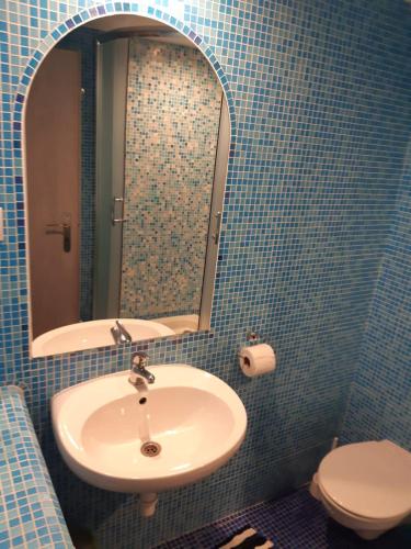a bathroom with a sink and a mirror and a toilet at Penzion Samoty in Železná Ruda