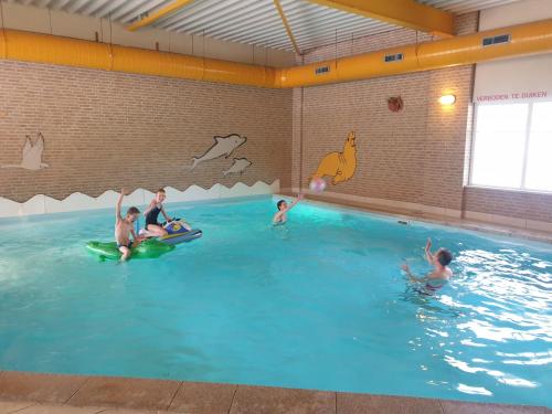 een groep mensen die in een zwembad spelen bij Vakantiepark Hellendoorn in Hellendoorn