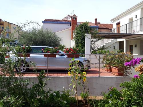 House Silvana - apartment with garden view