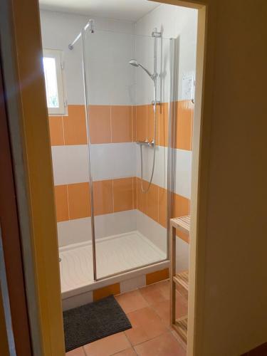 une salle de bain avec une douche avec une porte vitrée dans l'établissement Maison indépendante standing, piscine privée, à Rosières